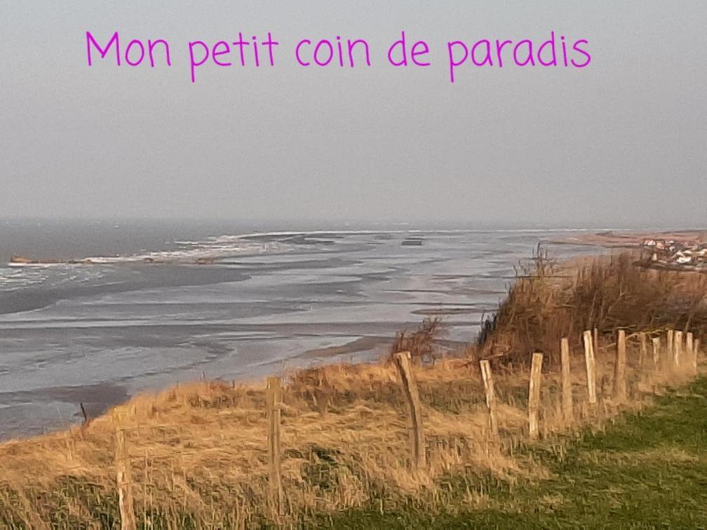 Les Heures Tranquilles - Vue Mer - 50M De La Plage Saint-Côme-de-Fresné Bagian luar foto